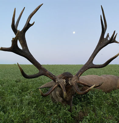 Vadászház Ge-Mi Jagd